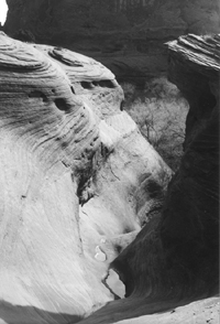 Canyon trail, Navaho Reservation near Chinle, Arizona. Photographer: Amy Adams, M.D.