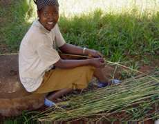 Grass being harvested by hospital patients for laboratory use in lieu of commercial wooden sticks. In this way, thousands of dollars are saved each year. Photographer: James Li, M.D.